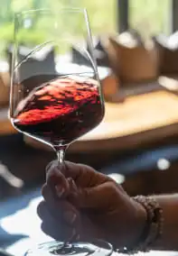 A person holding a glass of red wine.
