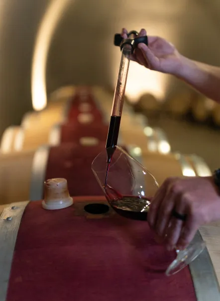 A person pouring wine into a glass.