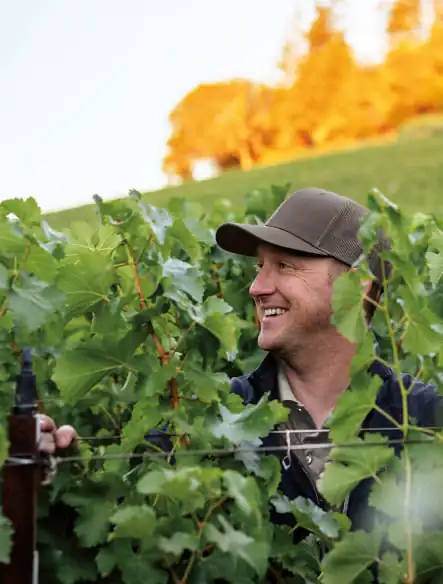 A man in a hat standing in a vineyard.