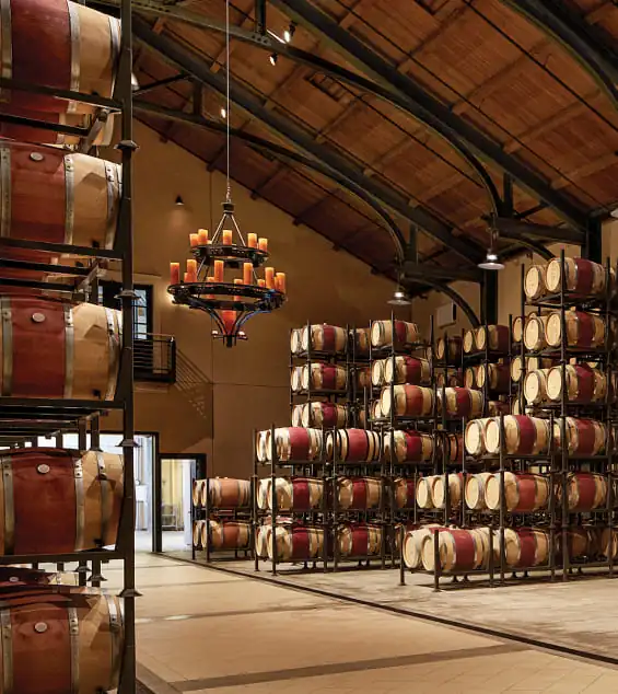 Wine barrels are lined up in a large room.