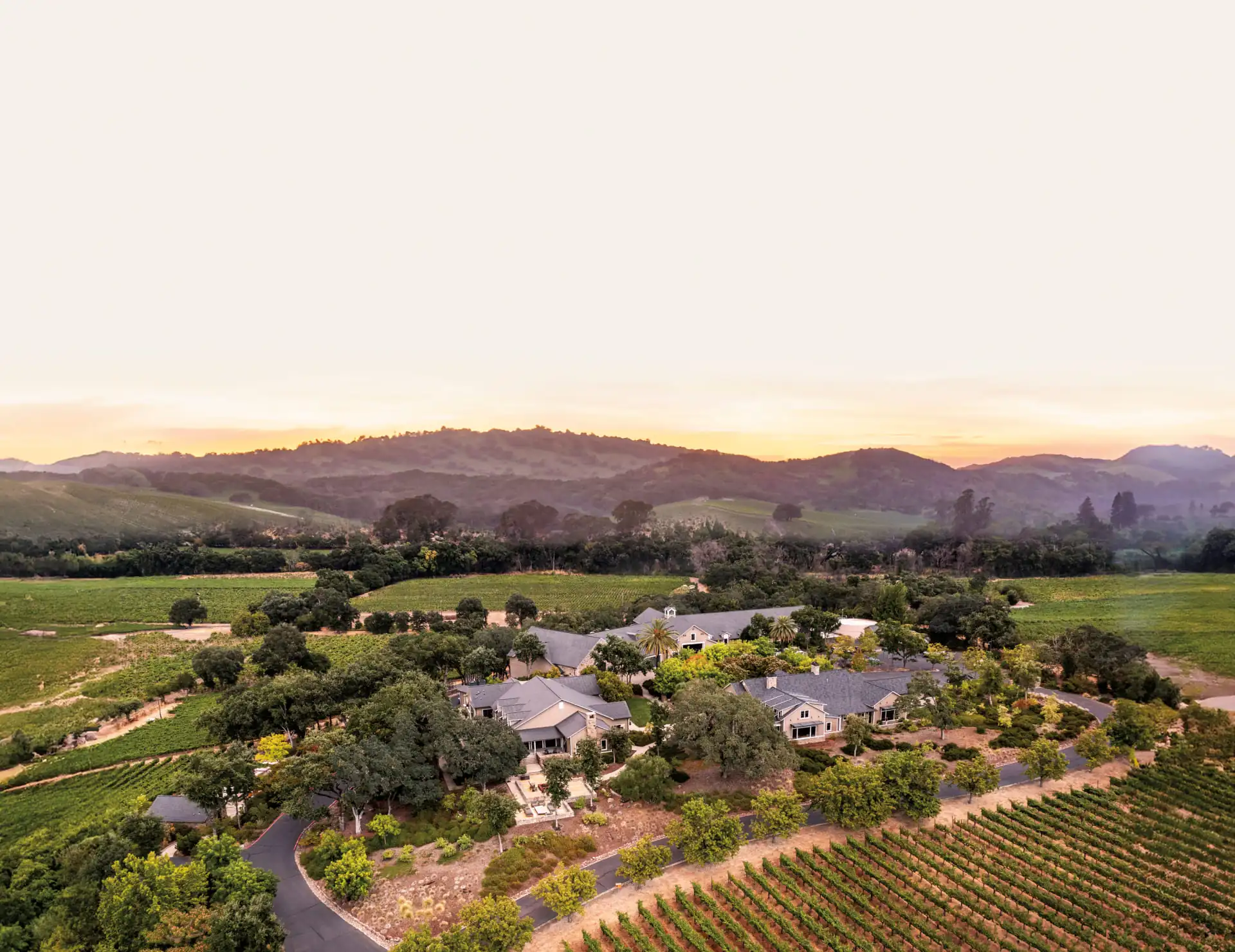 A large vineyard with a house and trees.