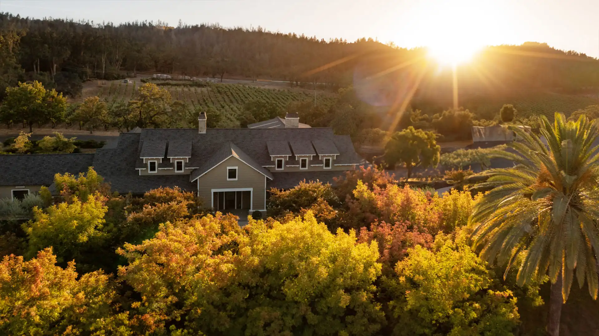 An aerial view of a house in a vineyard.