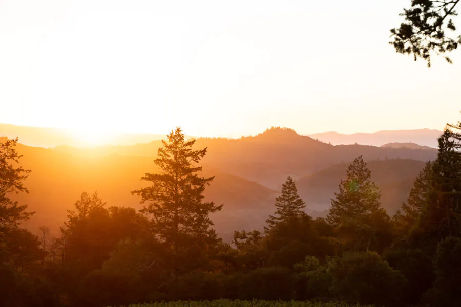The sun sets over a forested mountain landscape, casting a warm golden light on the trees and hills.